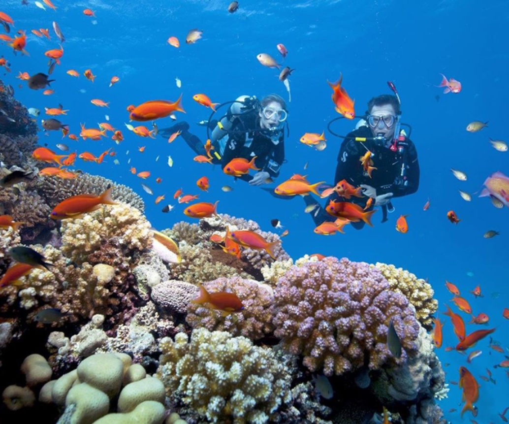 Diving and snorkeling