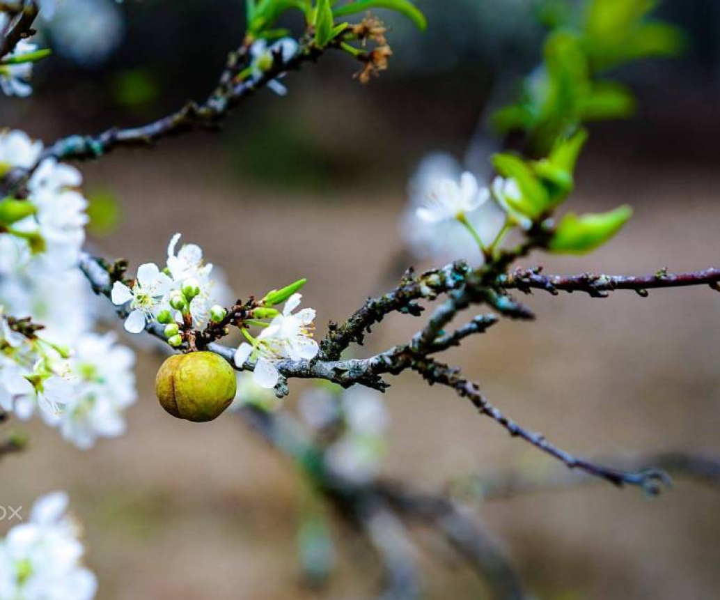 Top places to take photos