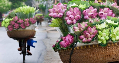 Nguyễn Việt Trinh