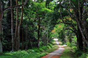 Ba Vi National Park Day Tour
