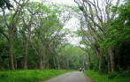 best_ba_vi_national_park_tour