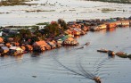 Ca--Tonle-sap