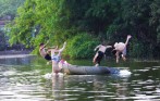 best_one_day_tour_hanoi