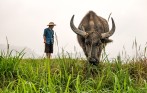 countryside_tour_hanoi