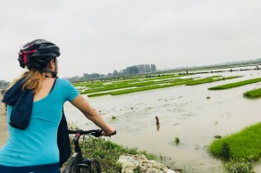 Hanoi Half Day Cycling Tour (4 Hours)