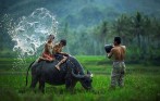hanoi_tours