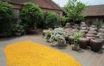 best_traditional_tour_in_hanoi_funny_travel