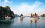 Aclass_cruise_halong_2days_1night