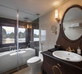 athena_cruise_bath_room