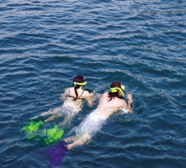 Halong_carina_cruise