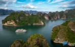 tau-vip-ha-long-gia-re
