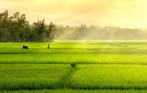 hanoi_bike-_tour_day-trip