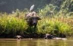 hanoi_countryside_private_day_tour