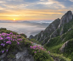 Tet Holiday In Vietnam Tet Holiday In Vietnam