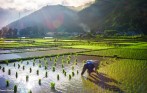 best_mai_chau_tour