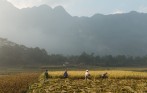 mai_chau_one_day_tour