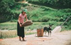 vietnam_authentic_tour