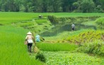 vietnam_top_luxury_tour