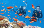 vietnam_snorkeling_tour