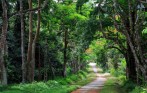 Cuc_Phuong_national_park_cycling_tour