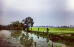 best_bike_tour_in_ninh_binh