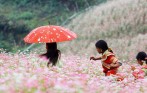 cong_ty_tour_ha_giang_uy_tin_nhat