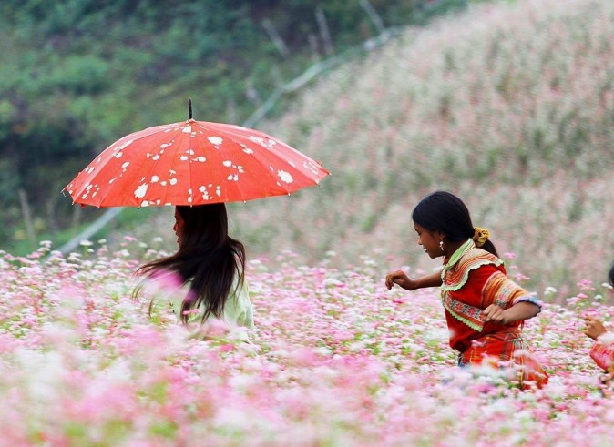 cong_ty_tour_ha_giang_uy_tin_nhat