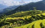 funny-travel-private-package