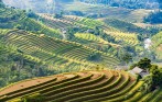 ha-giang-trekking-private-tour