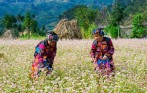 ha-giang-vietnam-tour