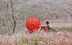 tour_ha_giang_tron_goi_tot_nhat