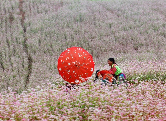 tour_ha_giang_tron_goi_tot_nhat