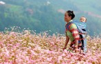 tua_ha_giang_gia_tot_nhat