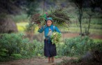 vietnam-tour-ha-giang