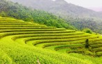 vietnam_authentic_tour