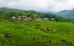 pu_luong_natural_reserve