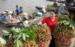 best_tour_in_mekong