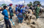 Sapa_bac_ha_market_tour