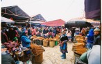 authentic_vietnam_package_tour
