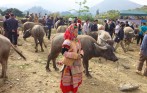 bac_ha_market_tour