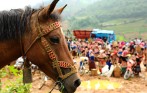 best_bac_ha_market_tour