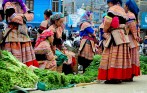 can-cau-market-tour
