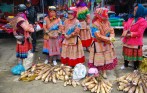 can_cau_market_package_tour