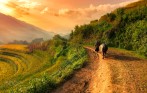 best_sapa_tours