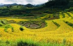 best_time_to_trek_in_sapa