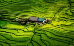best_tour_operator_in_sapa