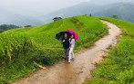 best_vietnam_jewish_tour
