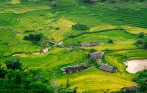 cat_cat_village_Sapa