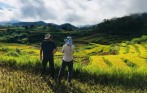 experience_in_sapa_rice_farm