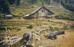 funny-travel-sapa-tour